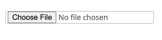 choose file example