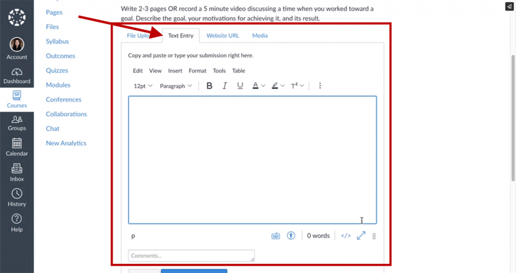 A screenshot of Canvas Assignments with the Text Entry section selected and open.