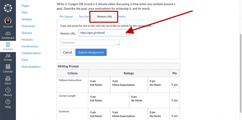 A screenshot of the Canvas Assignment with the Website URL section selected. A red arrow is pointing at the Website URL bar with an example URL inputted.