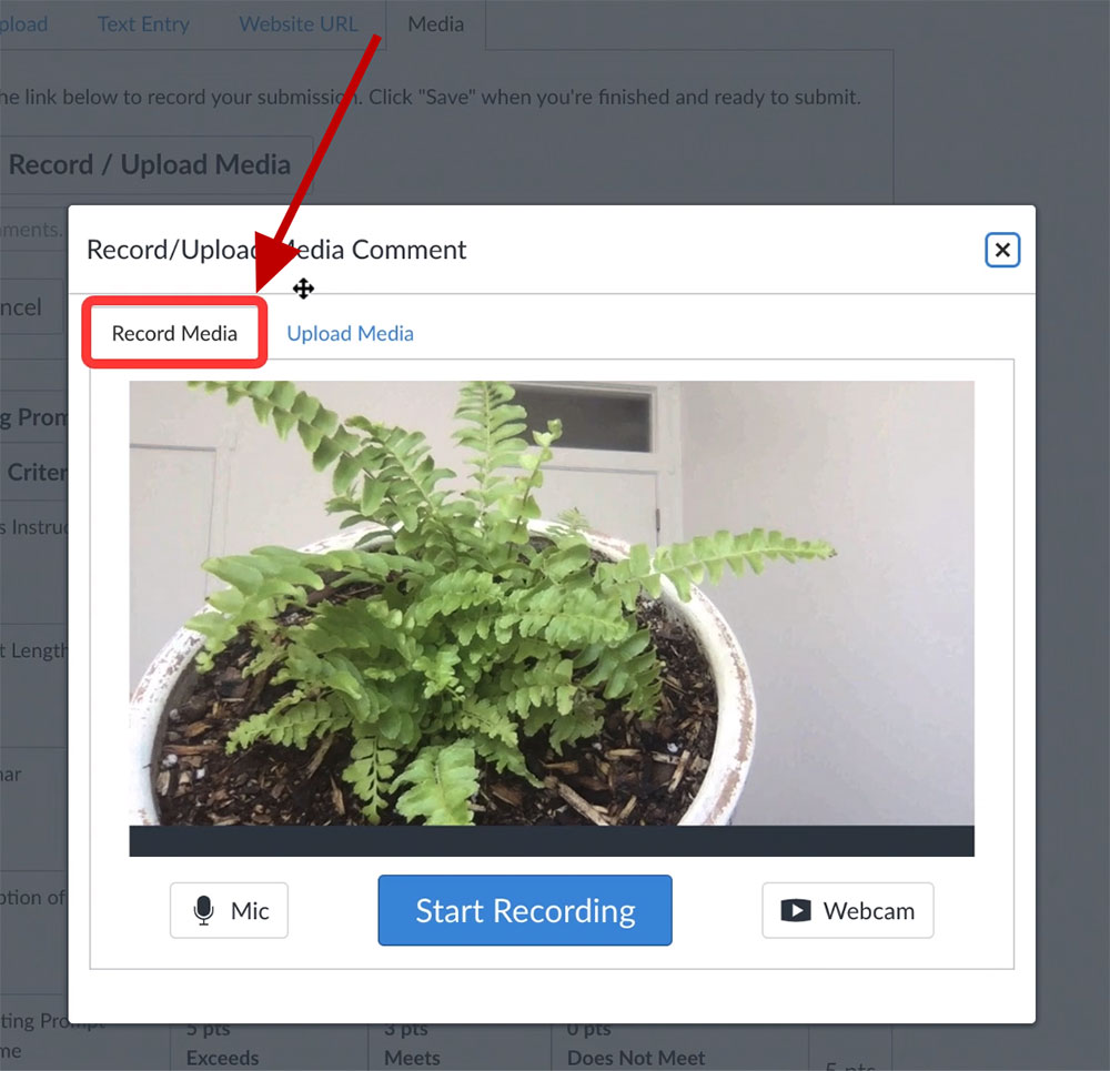 A screenshot of a pop-up window to record media on Canvas