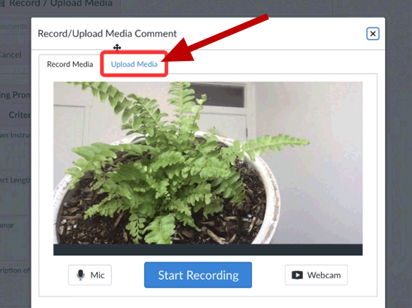 A screenshot of a pop up window to record media and upload media on Canvas.
