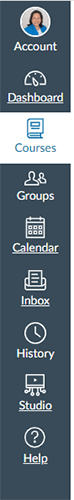 A screenshot of a Canvas left menu bar.