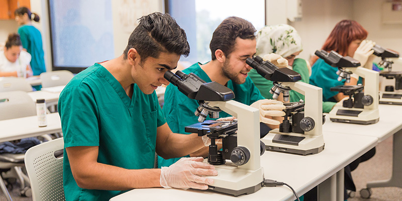 Cuatro estudiantes de asistente médico mirando a través de microscopios