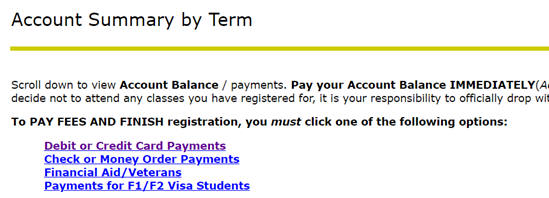 Screenshot of payment menu on Webstar