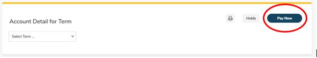 Pay Now button on Account Detail for Term