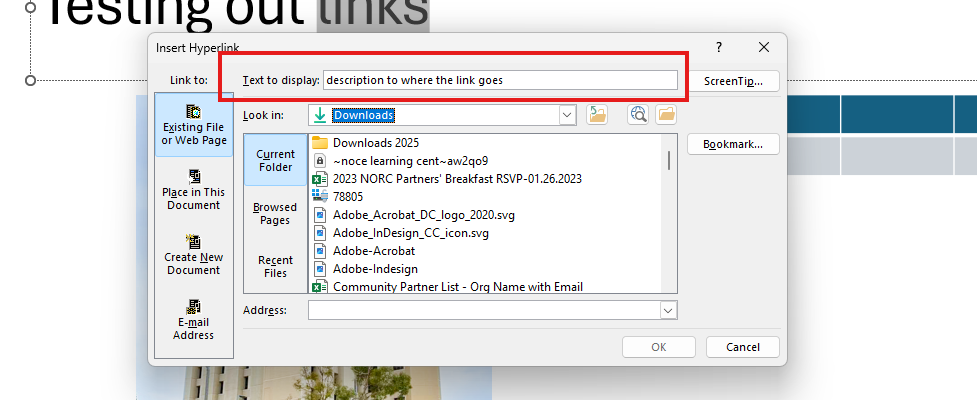 A screenshot on PowerPoint, with the Insert Hyperlink pop-up window open. A red square highlighting the Text to display: text box.