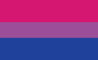 Bisexual Flag: hot pink, purple and dark blueish purple stripes