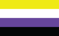 Nonbinary Flag: Yellow, white, purple and black stripes