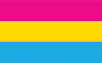 Pansexual Flag: hot pink, yellow, light blue stripes