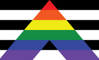Straight Ally Flag: Black and white striped background with a rainbow striped upside down thick V