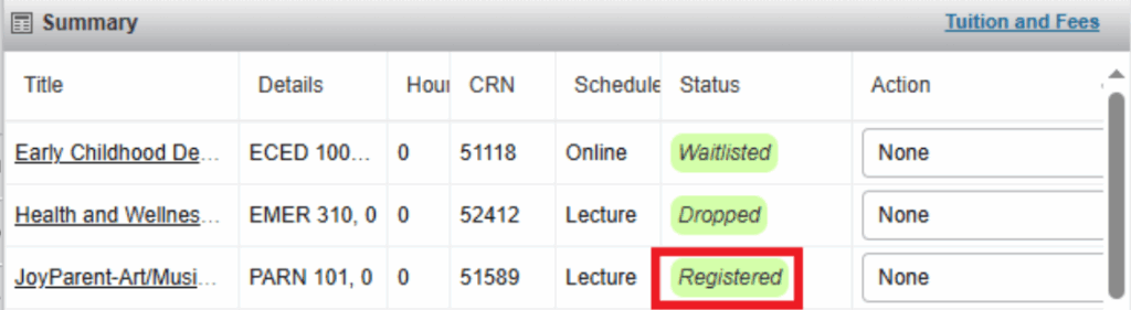 Screenshot of "Summary" section showing a "Registered" status underneath the "Status" column.