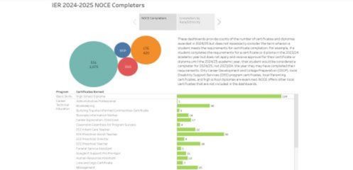 A screenshot of the 2024-2025 NOCE Completers Dashboard Tableau