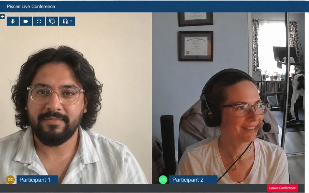 Screen capture of the split video screen for the video chat on NetTutor
