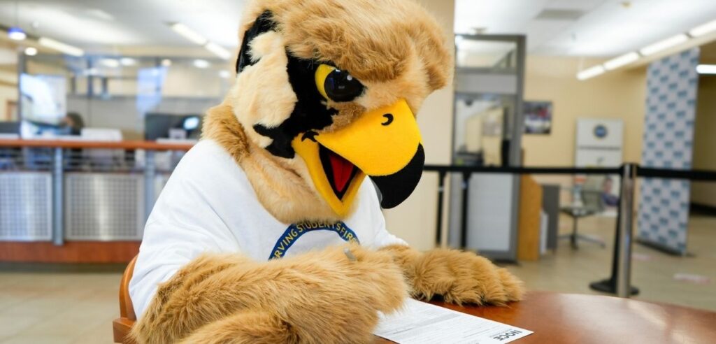 Ace the hawk, filling out an NOCE paper application at the NOCE Anaheim Campus