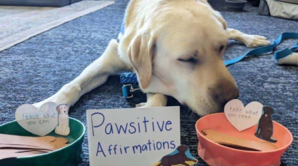 A sleeping golden labrador retriever with three dog bowls placed infront of the dog and a sign reading "Pawsitive Affirmations"