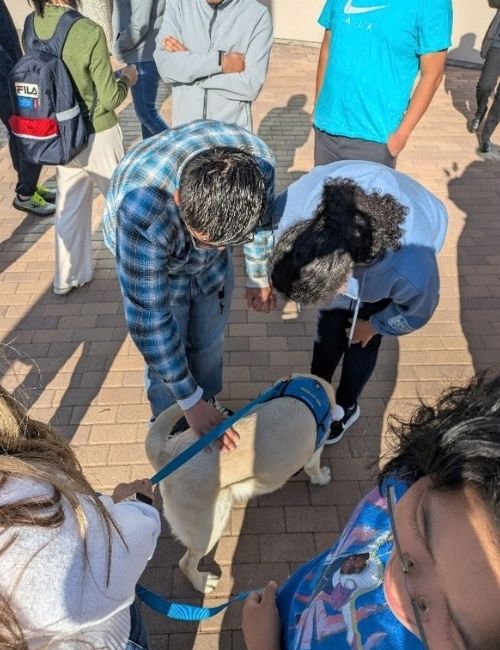 People gathered outdoors on a sunny brick walkway, with one person holding a leash attached to a golden lab therapy dog, and others standing nearby, petting the dog.