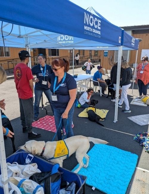Outdoor event under NOCE blue tents, with people gathered around dogs resting on mats, on leashes and other supplies on tables.